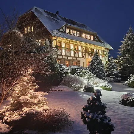 Szwajcarski Dworek Apartman