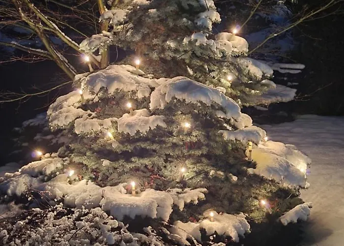 Szwajcarski Dworek Apartmán