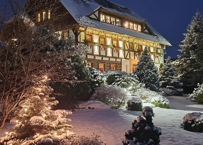 Szwajcarski Dworek Appartamento